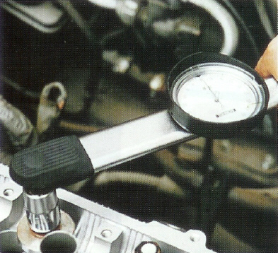 G0200001_400.jpg